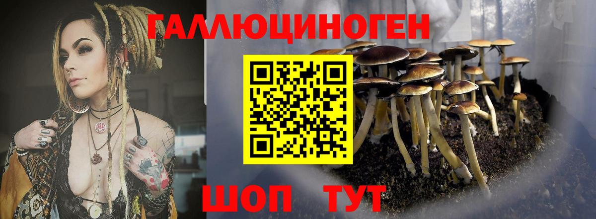 Ленинск-Кузнецкий  Псилоцибиновые грибы Cubensis  Галлюциногенные грибы MAGIC MUSHROOMS  Вход с VPN 